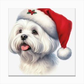 White Maltese Wearing Santa Hat Canvas Print