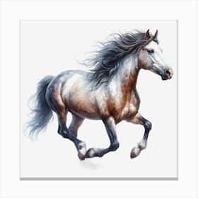 Horse Galloping On Black Background Canvas Print