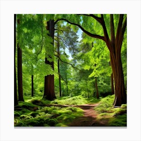 Oak Pine Birch Maple Cypress Sequoia Redwood Palm Spruce Fir Cedar Aspen Willow Bar (1) Canvas Print