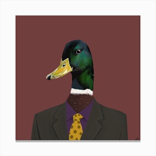 Duck In Suit 2 Square Canvas Print