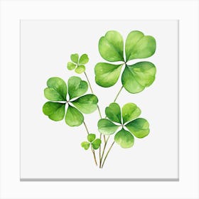 Four Leaf Clover 22 Canvas Print