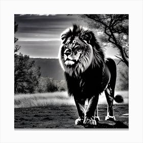 Lion In Black And White 4 Canvas Print