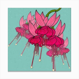 Fuchsia Flower Canvas Print