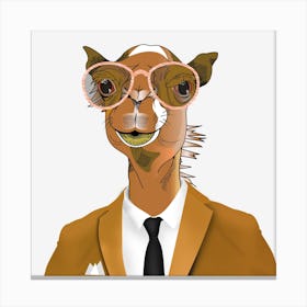 Camel Canvas Print