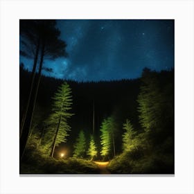 Night In The Forest 3 Canvas Print