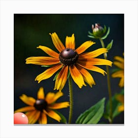 Rudbeckia Flower Canvas Print