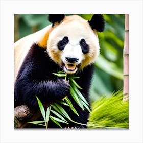 Panda Bear Eating Bamboo 3 Canvas Print