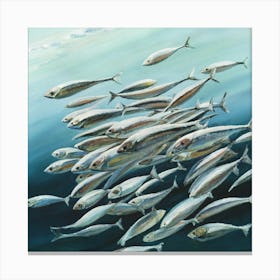 Sardines Swimming Art Print Painting Canvas Print