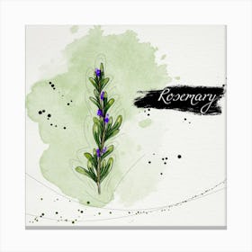 Watercolor Illustration Of Rosemary Canvas Print