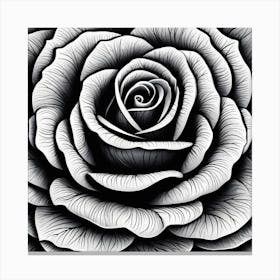 Black And White Rose 3 Canvas Print