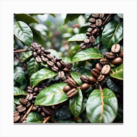 Coffee Beans On A Tree 7 Canvas Print