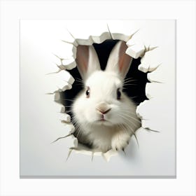 Rabbit Peeking Through A Hole 4 Canvas Print