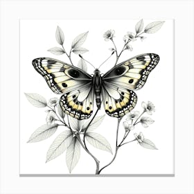 Butterfly On A Branch 1 Canvas Print