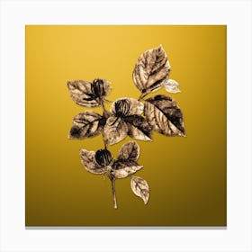 Gold Botanical Carolina Allspice Flower on Mango Yellow n.4658 Canvas Print