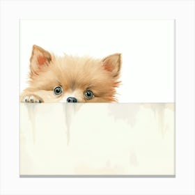 Pomeranian Puppy 1 Canvas Print