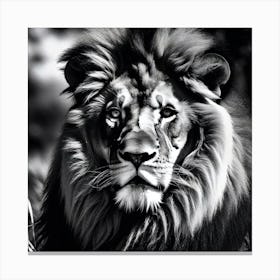 Black And White Lion Canvas Print