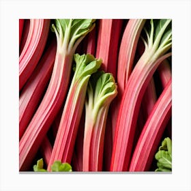 Rhubarb 7 Canvas Print