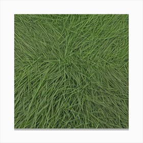 Grass Background 24 Canvas Print