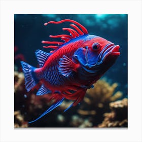 Red And Blue Fish Canvas Print