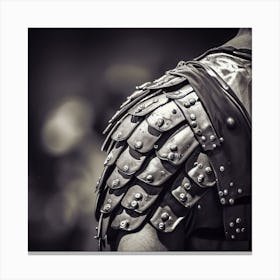 Armored Man Canvas Print