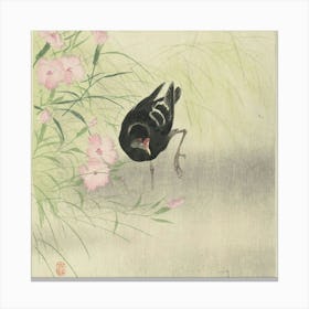 Bird On A Flower Canvas Print