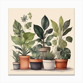 Potted Plants 1 Canvas Print