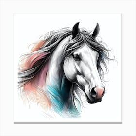 Horse Head Painting Canvas Print