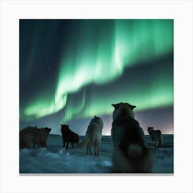 Aurora Borealis Canvas Print