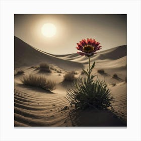 Desert Flower 1 Canvas Print