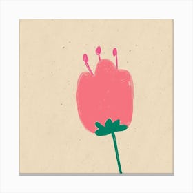 Pink Tulip Canvas Print