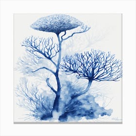 Blue Coral Tree Canvas Print