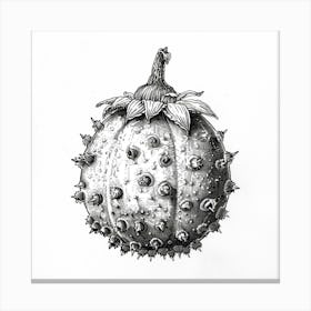 Fruit With Spikes Canvas Print