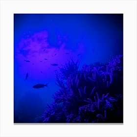 Blue Coral Reef Canvas Print