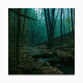 Forest 67 Canvas Print