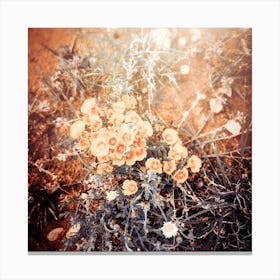 Desert Flowers Canvas Print