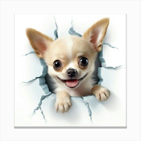 Chihuahua 5 Canvas Print