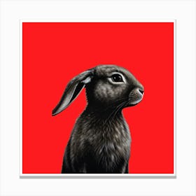 Rabbit On Red Background Canvas Print