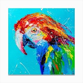 Parrot Canvas Print