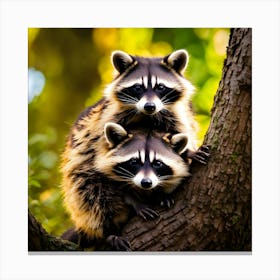 Raccoons 4 Canvas Print