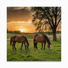 Leonardo Kino Xl Horses Graze On Grass At Sunset 2 (1) Canvas Print