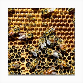 Bees On Honeycomb 9 Canvas Print