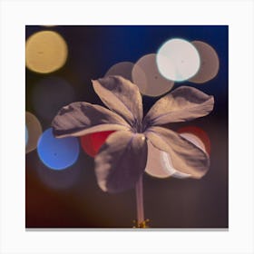 Bokeh Flower Canvas Print