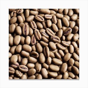 Coffee Beans 242 Canvas Print