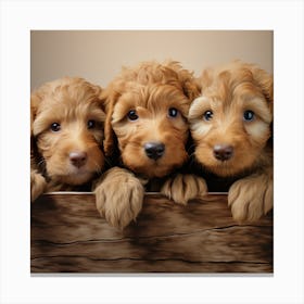 Three Golden Doodle Puppies Canvas Print