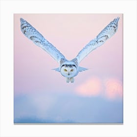 Snowy Owl White Plumage Intense Yellow Eyes Soaring Above Morning Covered Snowscape Background O Canvas Print