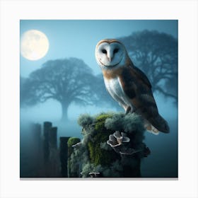 Barn Owl At Night Canvas Print