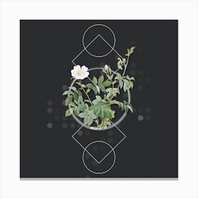 Vintage White Downy Rose Botanical with Geometric Line Motif and Dot Pattern n.0213 Canvas Print