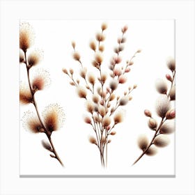 Flowers of Catkin 1 Canvas Print