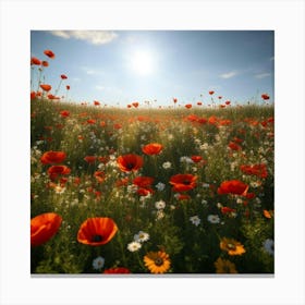 Field Of Poppies Canvas Print