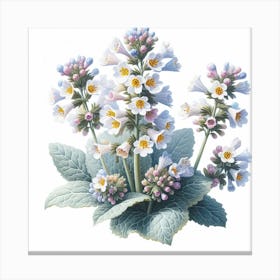 Flower of Lungwort Canvas Print